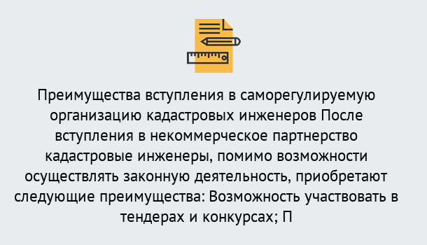 Почему нужно обратиться к нам? Шумерля Что дает допуск СРО кадастровых инженеров?