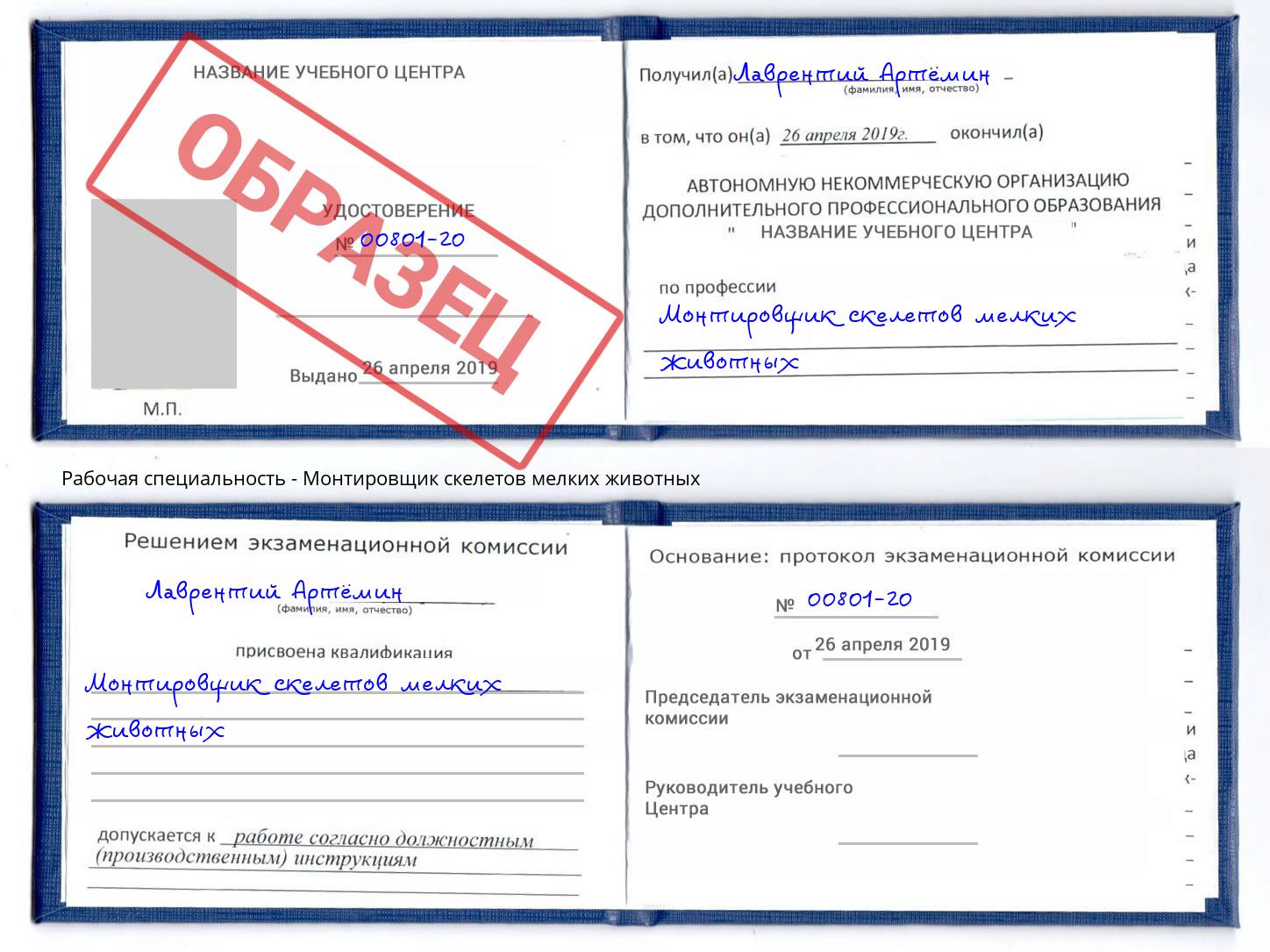 Монтировщик скелетов мелких животных Шумерля
