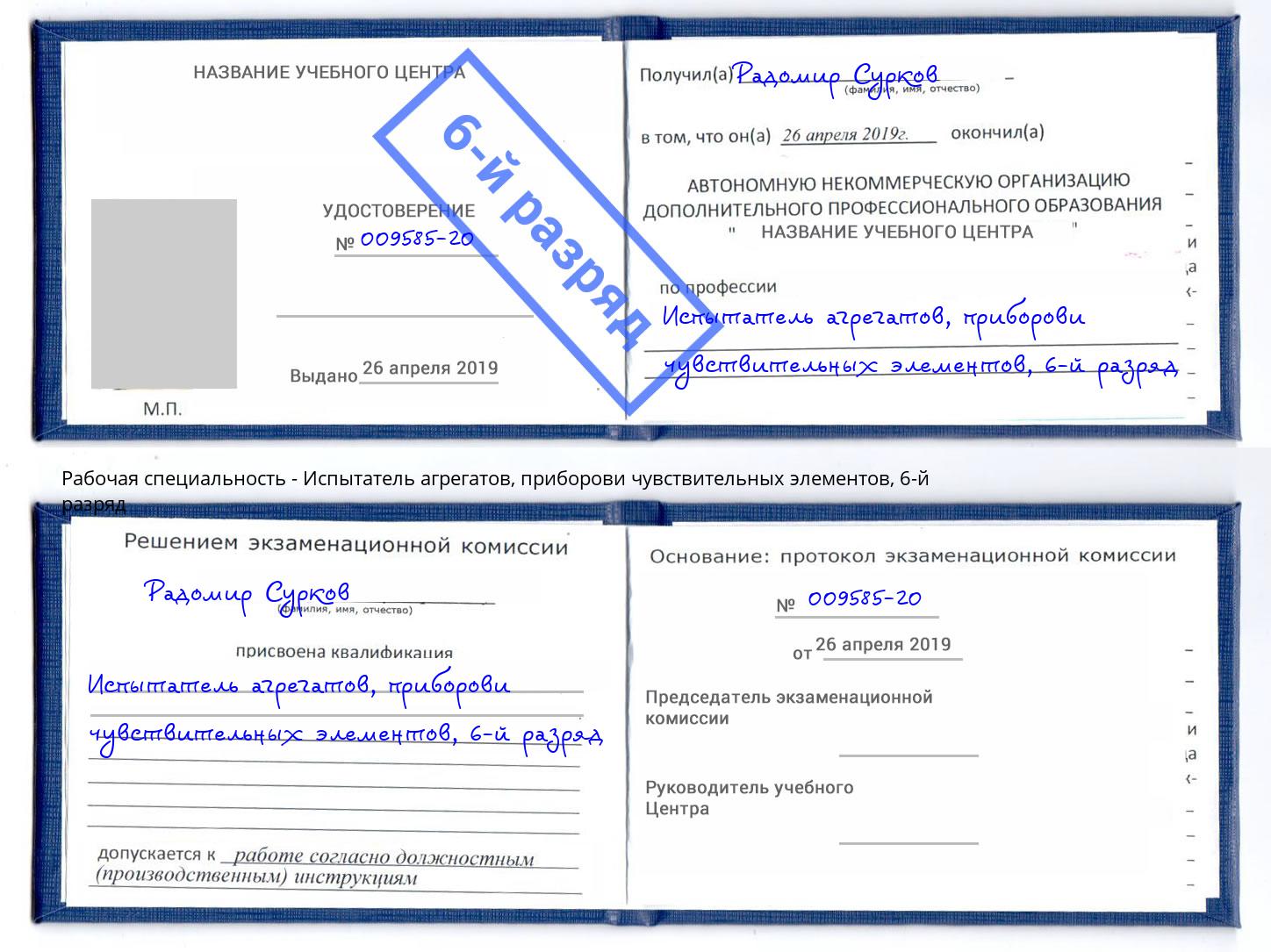 корочка 6-й разряд Испытатель агрегатов, приборови чувствительных элементов Шумерля