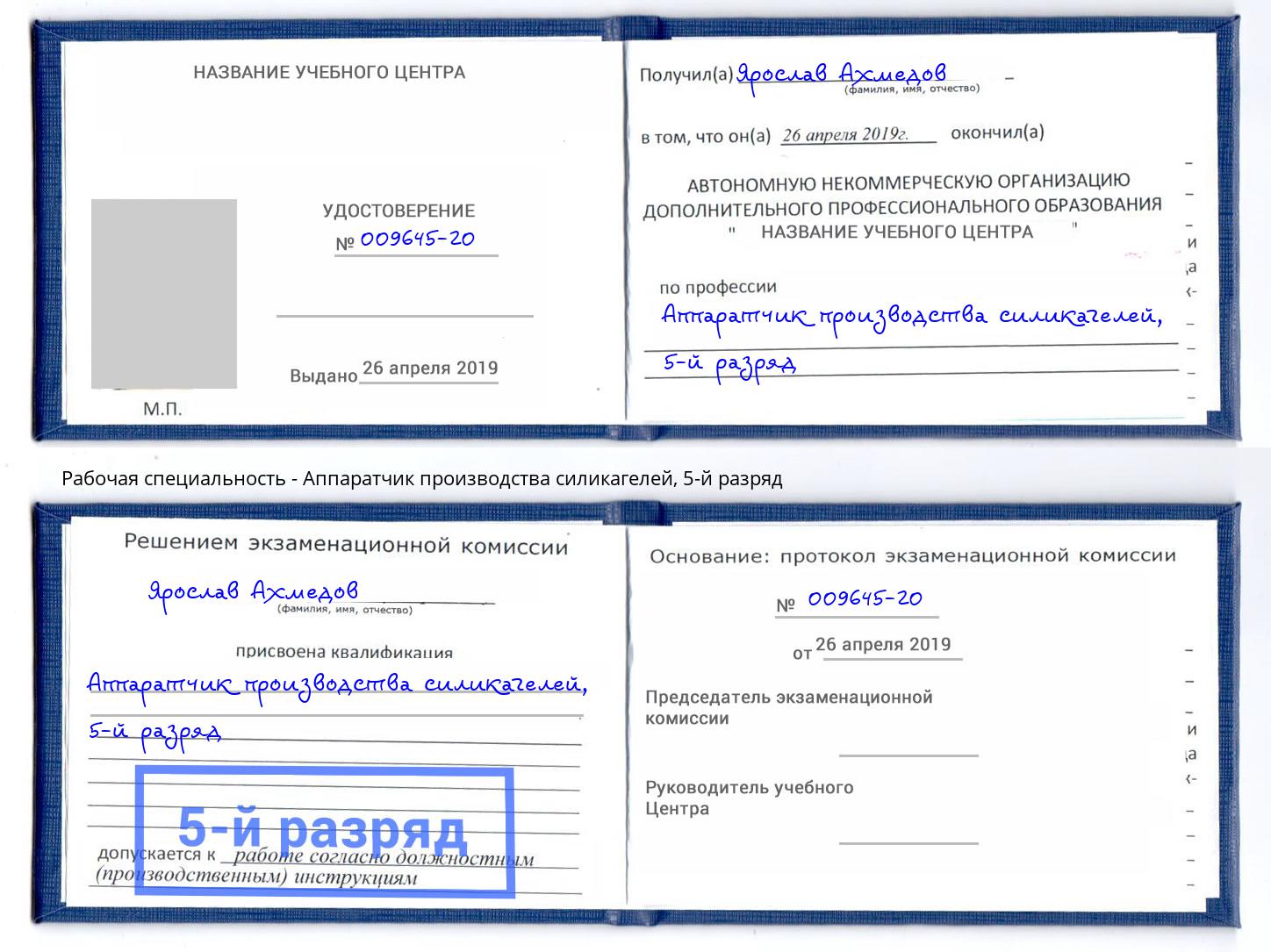 корочка 5-й разряд Аппаратчик производства силикагелей Шумерля