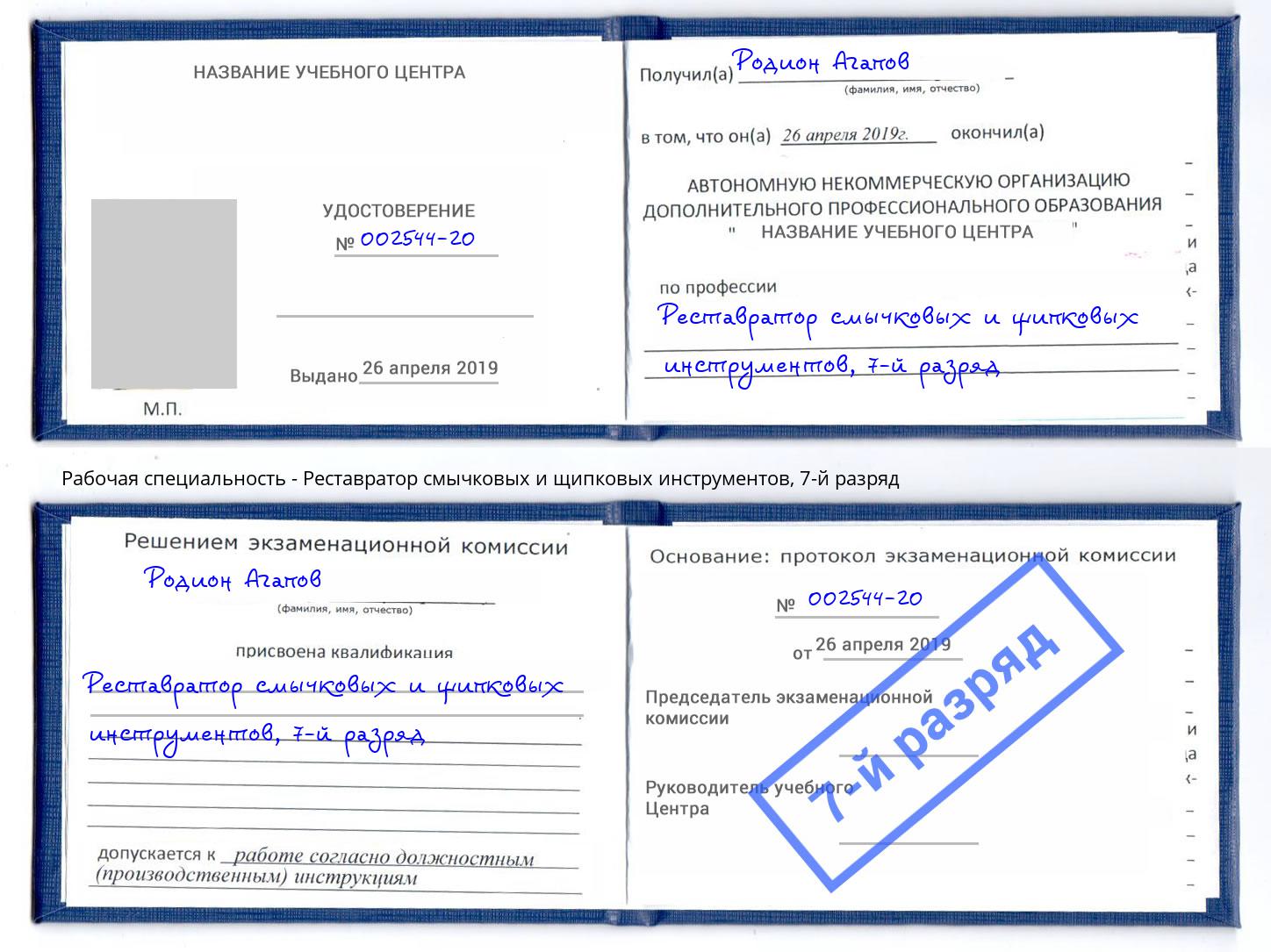 корочка 7-й разряд Реставратор смычковых и щипковых инструментов Шумерля