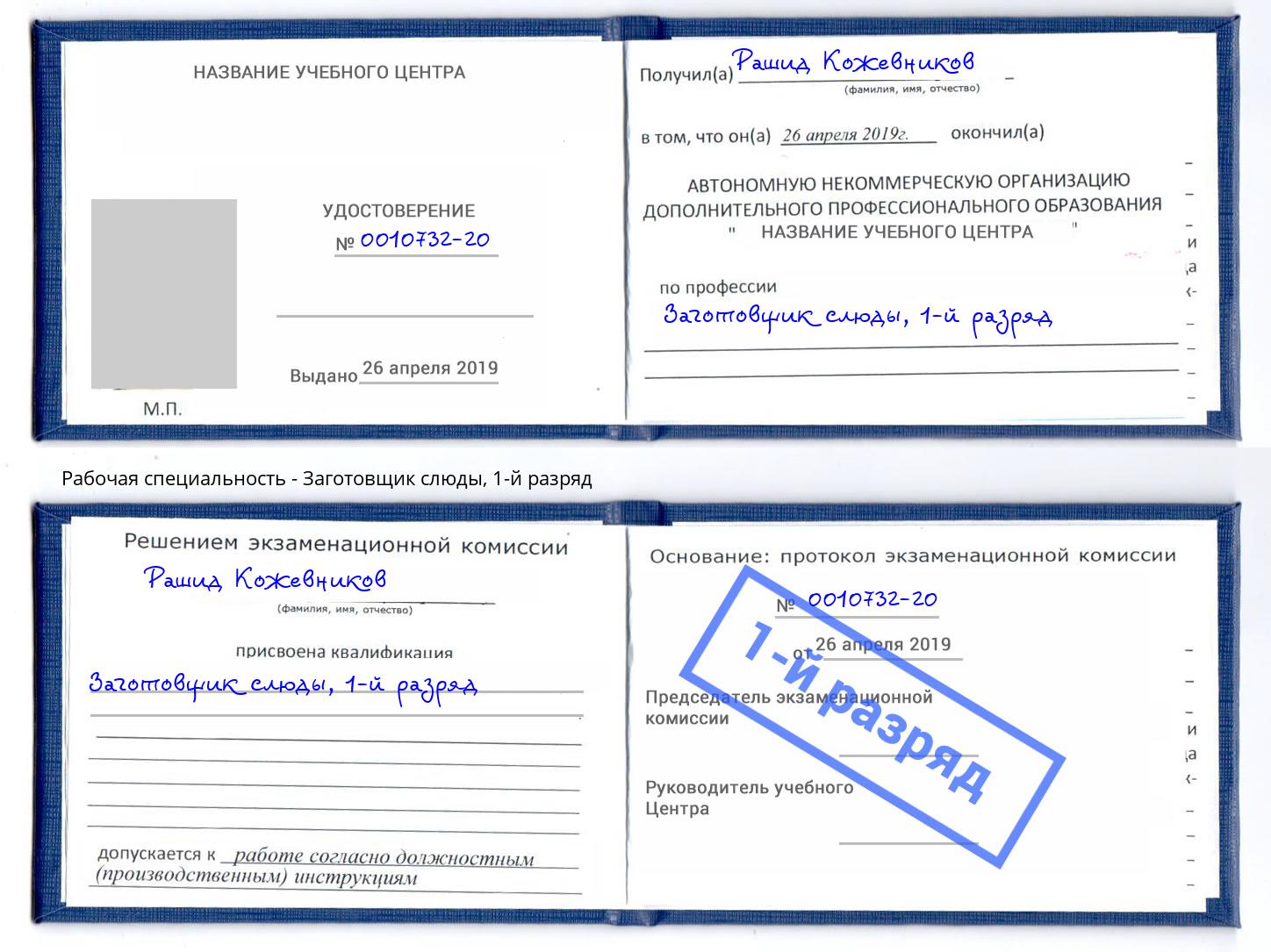 корочка 1-й разряд Заготовщик слюды Шумерля