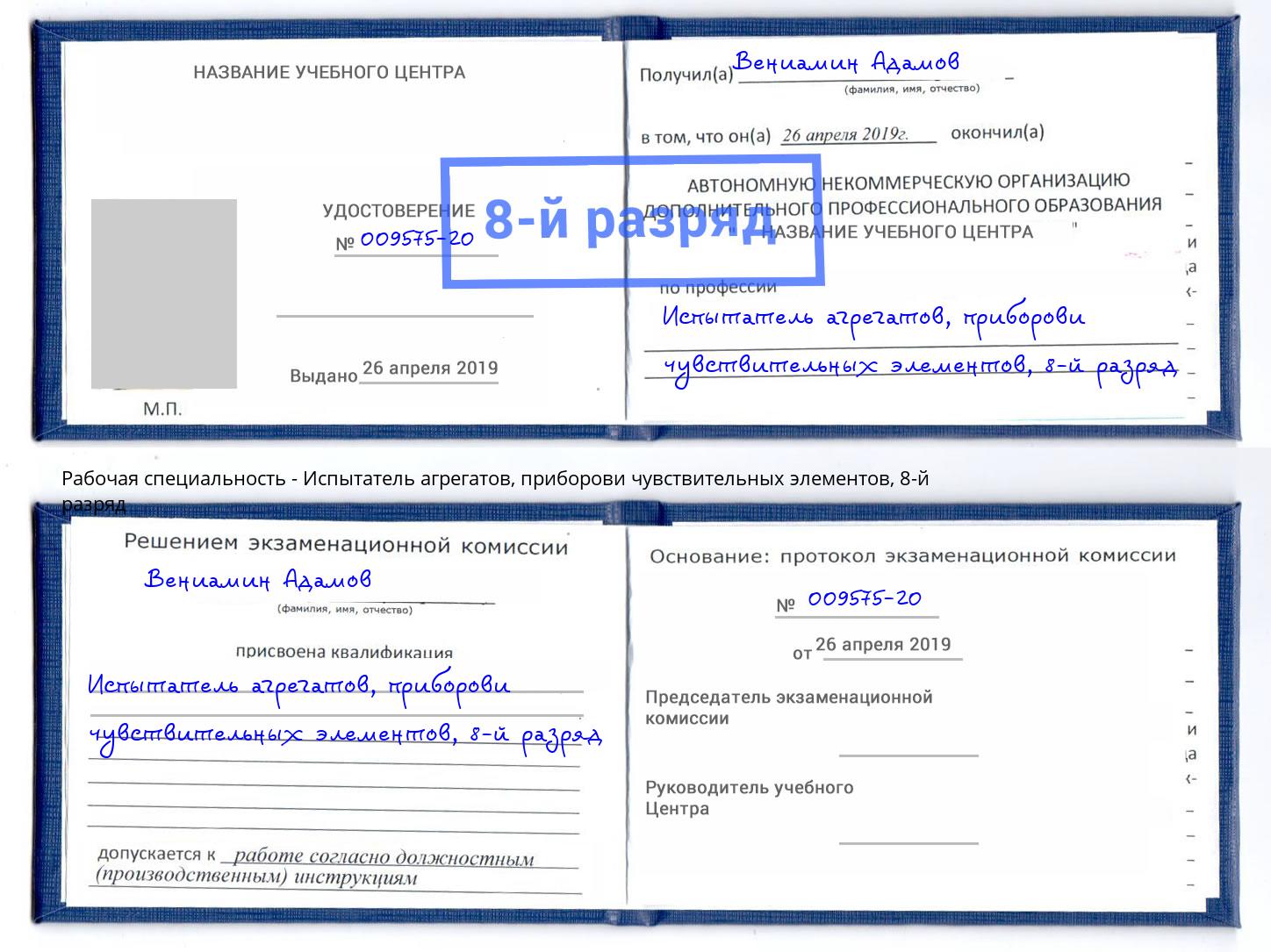 корочка 8-й разряд Испытатель агрегатов, приборови чувствительных элементов Шумерля